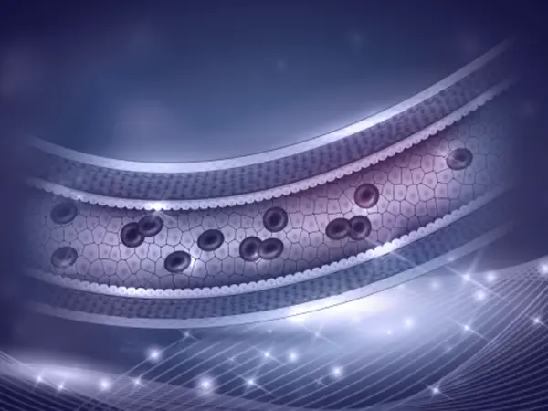 Endothelial protection