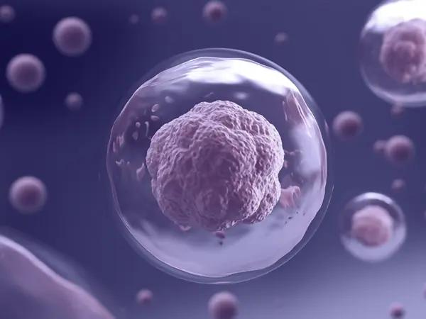 Proteasome inhibitors